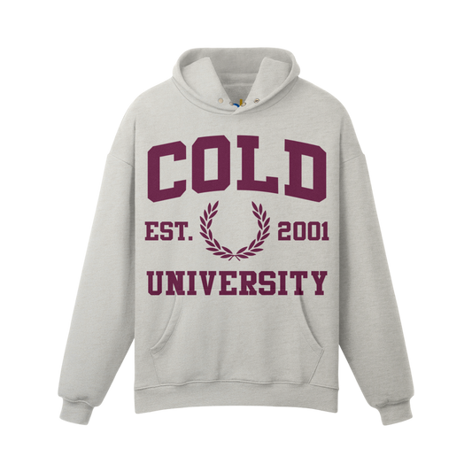 COLDWATER CANYON © UNIVERSITY HOODIE